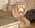 fig.B4 - Leone
                      stiloforo destro