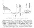 fig.C1
                                - Sezione geologica schematica
                                attraverso l'isola Tiberina